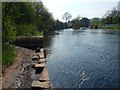 NS3979 : Pipe beside the River Leven by Lairich Rig