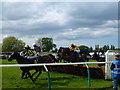 TF9228 : A hurdle race at Fakenham racecourse on Ladies Day 2016 by Richard Humphrey