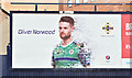 J3373 : Northern Ireland - Euro 2016 poster (Oliver Norwood), Belfast (May 2016) by Albert Bridge