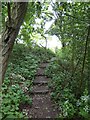 SJ8154 : Merelake Way: steps up to golf course by Jonathan Hutchins