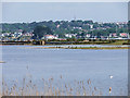 SZ0287 : Brownsea Island Lagoon by David Dixon