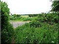 SU4035 : Public footpath crossing a minor road by Christine Johnstone