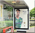 J4087 : Northern Ireland - Euro 2016 poster (Michael Smith), Carrickfergus (June 2016) by Albert Bridge