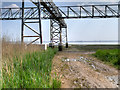 SJ4182 : Mersey Estuary at Speke by David Dixon