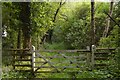 SJ6838 : Trackbed of former railway near Norton-in-Hales by Jonathan Hutchins