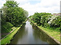 SP0394 : View north west - Tame Valley Canal, West Midlands by Martin Richard Phelan