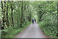 SH7018 : The Mawddach Trail by Jeff Buck