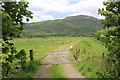 SH6918 : View from the Mawddach Trail by Jeff Buck