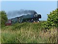 ST3290 : The Flying Scotsman passing Caerleon by Robin Drayton