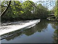 SE2336 : Low flow over Newlay weir by Stephen Craven