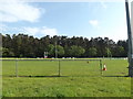 TL8586 : Thetford Rugby Club by Geographer