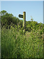 TM1051 : Bridleway sign on The Stone by Geographer