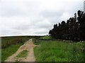 NZ0634 : Track running west from Harthope by Robert Graham