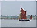 TL9406 : Sailing barge in the Blackwater estuary: 'Cygnet' (2) by Stefan Czapski