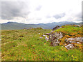 NY3333 : Gabbro rock outcrop by Mick Garratt