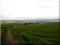 NZ0635 : View down the track into Weardale by Robert Graham