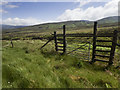 NC9517 : A gate in the deer fence by Neville Goodman