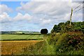 NT8757 : Field path north of Chirnside by Jim Barton