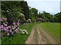 NS3379 : Path following northern edge of field by Lairich Rig