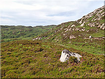  : View to Beinn Cholarich by Mick Garratt