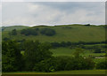 SH8104 : View across the Dyfi valley towards Coed Mawr by Christopher Hilton