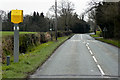 SJ5556 : Speed Camera on the A49 near Spurstow by David Dixon