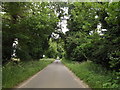 TL9882 : The Street, Gasthorpe by Geographer