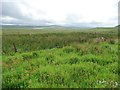 SN8495 : Open access moorland, south of Bryn y Fedwen by Christine Johnstone