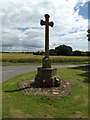 TM0179 : Blo Norton War Memorial by Geographer