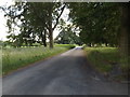 TL9580 : Knettishall Road, Knettishall Heath by Geographer