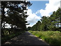 TL9183 : Kilverstone Road on Langmere Hill by Geographer