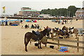 SY6879 : Donkeys on Weymouth beach by Richard Croft