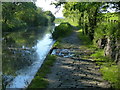 NT1070 : Cobbled section of towpath along the Union Canal by Mat Fascione