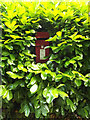 TM0179 : Thelnetham Road Postbox by Geographer