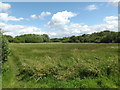 TM0178 : Thelnetham Fen, Thelnetham by Geographer