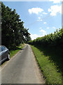 TM0178 : Fen Lane, Thelnetham by Geographer