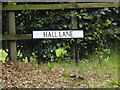 TM0080 : Hall Lane sign on Hall Lane by Geographer