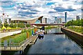 TQ3884 : Aquatics Centre: view from Waterworks River by Jim Osley