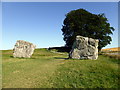 SU1069 : Stones at Avebury by PAUL FARMER