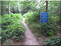 SU9485 : Permissive path in Egypt Woods, with notices by David Hawgood