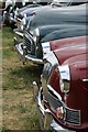 SO8040 : Grilles of vintage cars, Welland Steam Rally by Philip Halling