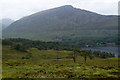 NH1621 : Woodland beside Loch Affric by Mike Pennington