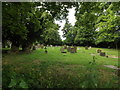 TM0474 : St.Mary's Rickinghall Superior Churchyard by Geographer