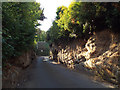 SP2965 : Entrance to Coten End Quarry, off Wharf Street, Warwick by Robin Stott