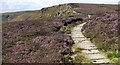 SK1187 : Flagstones through the heather by Andy Stephenson