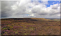 SK1187 : Kinder Scout - Edale Moor by Andy Stephenson