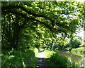 NT0676 : East along the Union Canal towpath by Mat Fascione