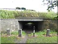 NY9464 : Flood arch under Hexham Bridge by Oliver Dixon