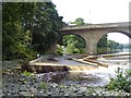 NY9464 : Fish pass at Hexham Bridge by Oliver Dixon