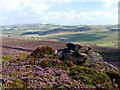 SK0063 : Rock outcrop on The Roaches by Graham Hogg